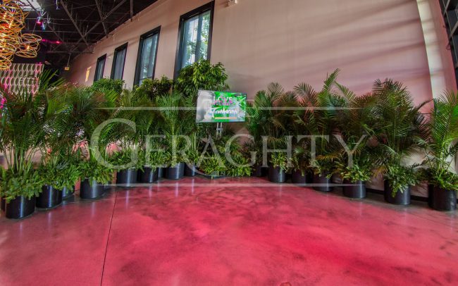 The Geraghty, Event Design, Sweatworking, Networking Event, Networking, Chicago Event, Chicago Venue, Venue, Plants, Greenery