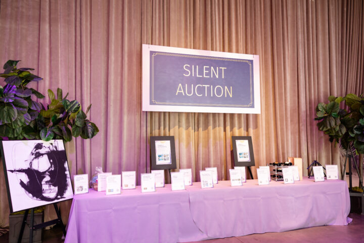 NAMI LIGHT THE DARKNESS GALA 2025-GALA-5.29.25-JB-THE GERAGHTY- COLIN LYONS PHOTO-UB26147 (4)