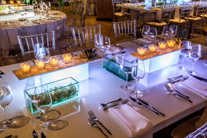 WEIZMANN_INSTITUTE_GALA_GRTY_11.3.18_MR_MF_10049_SS_007